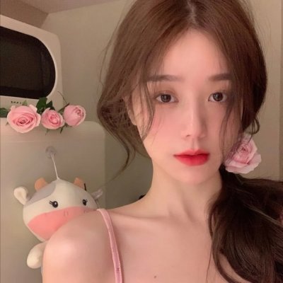 燕子与鹦鹉